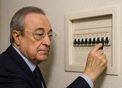 Enlace a El verdadero culpable