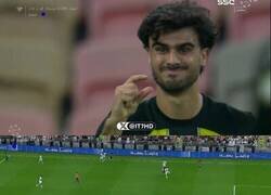 Enlace a Que injusto anular un gol por tan poco