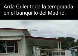 Enlace a Qué desaprovechado ha estado