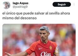 Enlace a Solo los más cultos entenderán