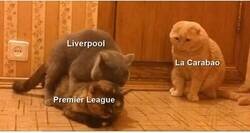 Enlace a Se siente como traición