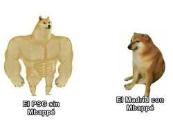 Enlace a ¿Y si el problema es el niño tortuga?