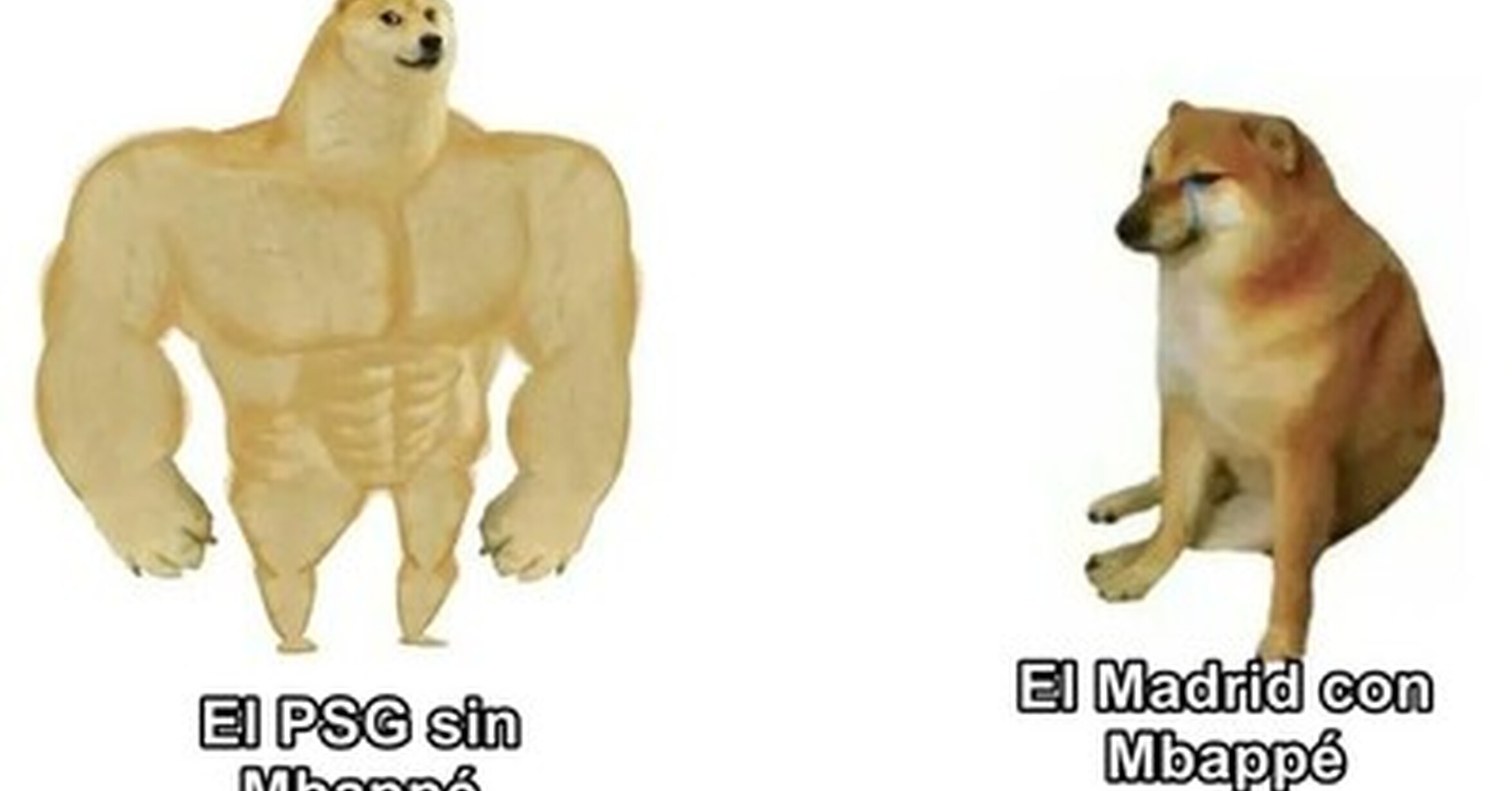 ¿Y si el problema es el niño tortuga?