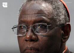 Enlace a Nuevo candidato al Sócrates de este año