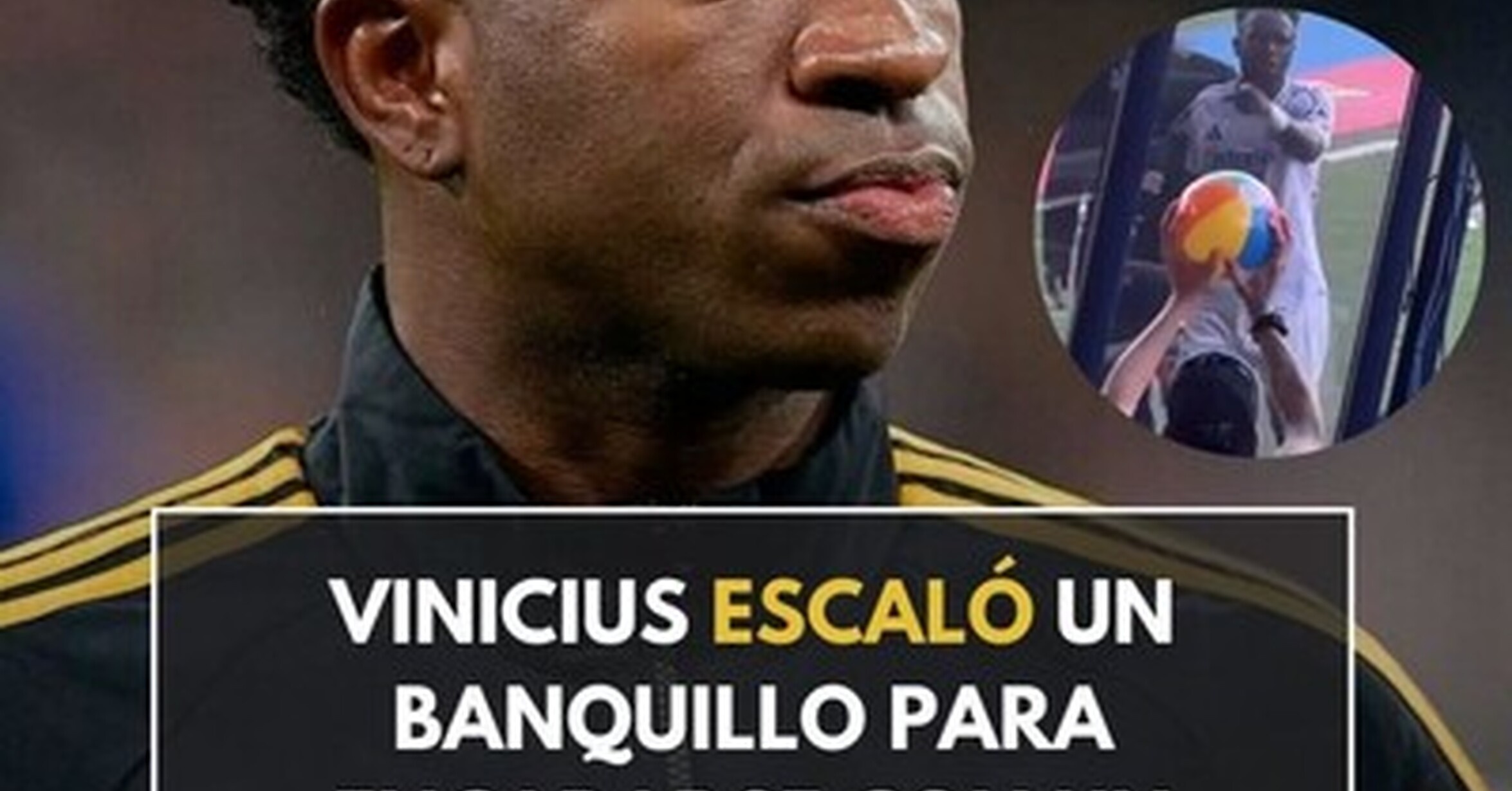 Terrible lo del Vini