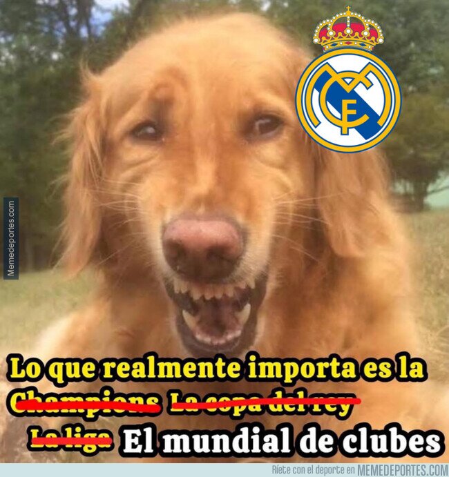 1221936 - La competición más importante