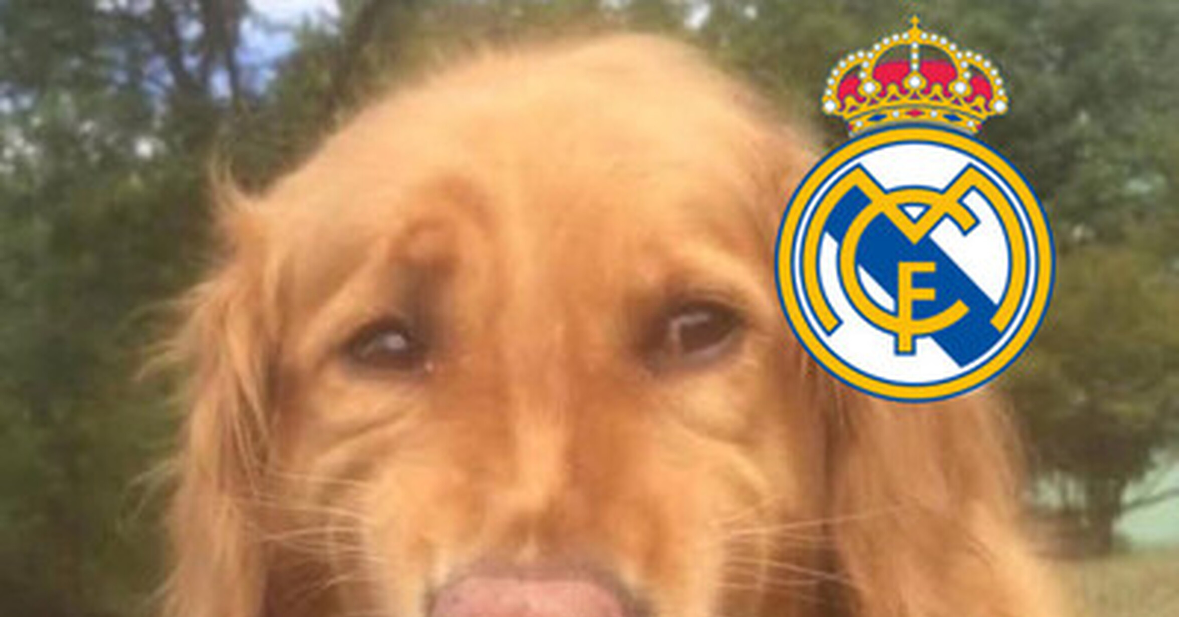La competición más importante