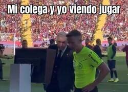 Enlace a Hay que pararse a mirarlos