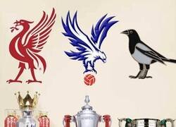 Enlace a El año de las aves en Inglaterra