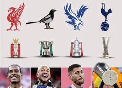 Enlace a Ha sido el año de las aves en Inglaterra