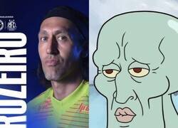 Enlace a Calamardo es real