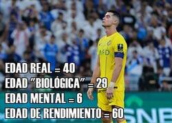 Enlace a Las edades del bicho