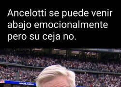 Enlace a La ceja nunca baja