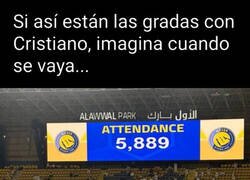 Enlace a Esperemos que vaya a un lugar dónde se llenen los campos