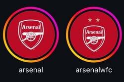 Enlace a El orgullo del Arsenal