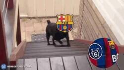 Enlace a Vamos Gavi coge la pelotita