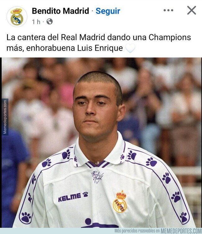 1223367 - Esta es la falta de vergüenza que aspiro tener en la vida