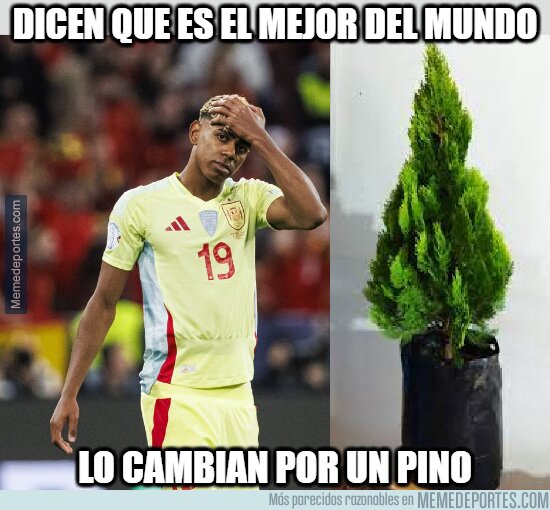 1223861 - Por un pino