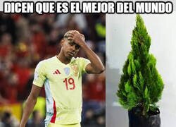 Enlace a Por un pino