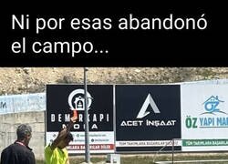 Enlace a El Firulais no entiende de reglamentos