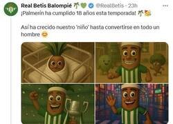 Enlace a No hombre no