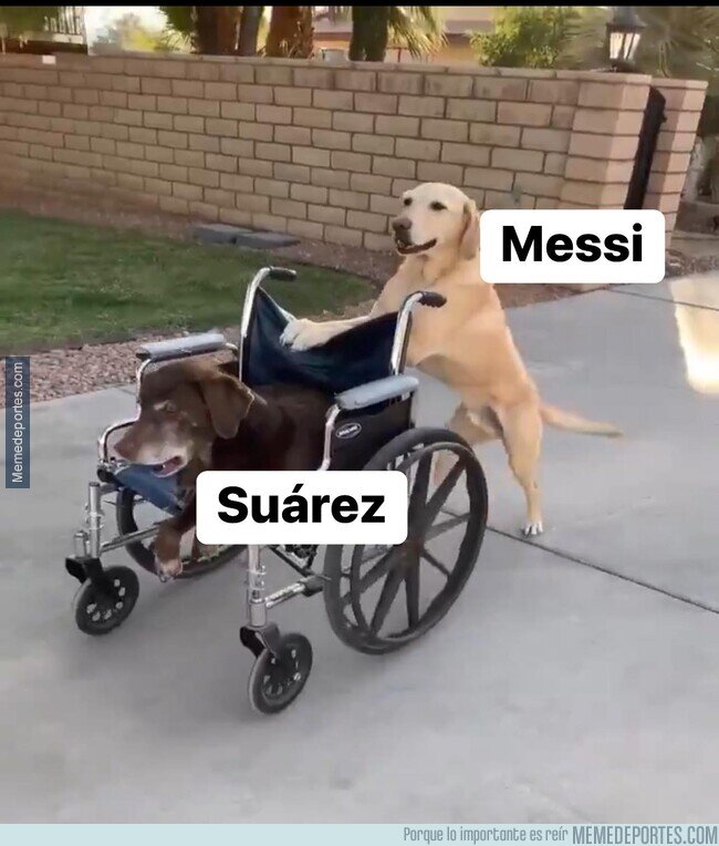 1224820 - Lo triste que me pone lo de Luis Suárez