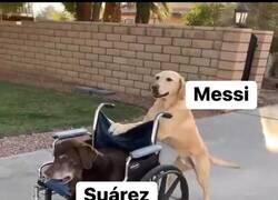 Enlace a Lo triste que me pone lo de Luis Suárez