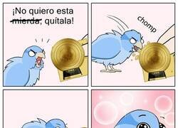 Enlace a Le debemos una disculpa al calvo ese