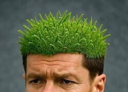 Enlace a Un nuevo jardinero llega a La Liga