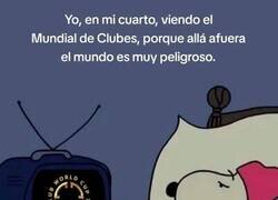 Enlace a Es mejor quedarse viéndolo