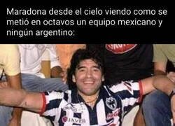 Enlace a Orgullo Rayado