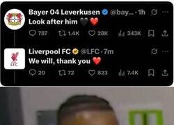 Enlace a No me gusta esta melosería, honestamente