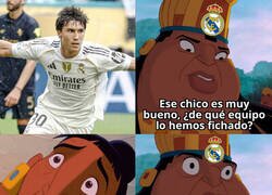 Enlace a No están acostumbrados