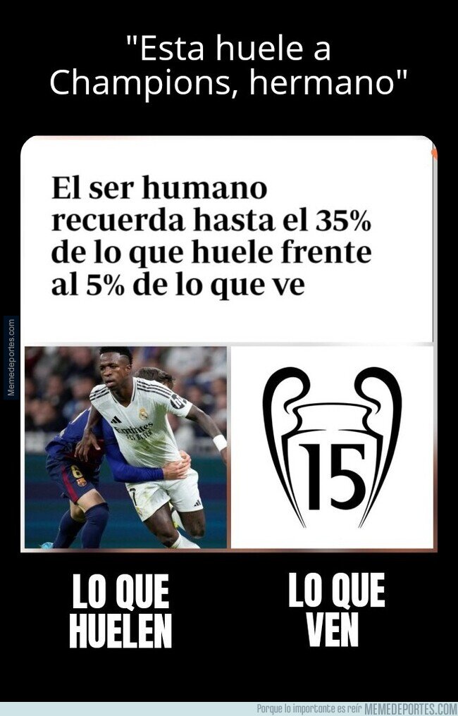 1225555 - Normal qué se líen con los olores