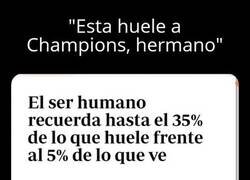 Enlace a Normal qué se líen con los olores