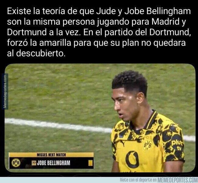 1225594 - La teoría Bellingham