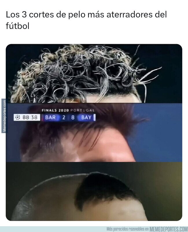 1225596 - Si ves estos pelos, escóndete