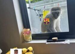 Enlace a Fruta prohibida