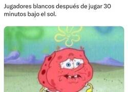 Enlace a Saco algo en claro de este Mundial