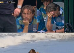 Enlace a El final de Modric en el Madrid no pudo ser más duro