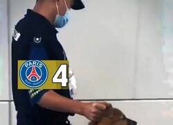 Enlace a Así los echaron del Mundial