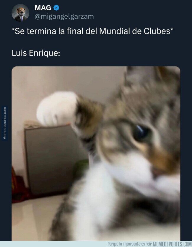 1226206 - Que se vengan las piñas