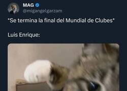 Enlace a Que se vengan las piñas