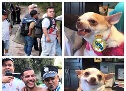 Enlace a Es imposible pedirle coherencia a un madridista, pero al menos salen memes