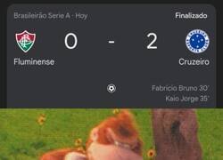 Enlace a El Flu regresó a casa