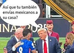 Enlace a Lo que Trump y Enzo tienen en común