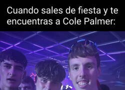 Enlace a Todavía celebrando el Mundial supongo