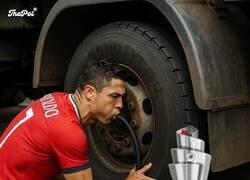 Enlace a El bicho tratando de revivir el debate