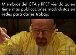 Enlace a El item que más pesa en el CV