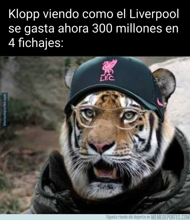 1226534 - En su época solo había Darwins Núñez